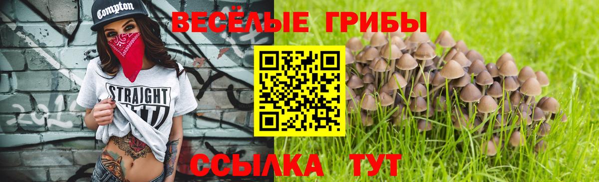 Псилоцибиновые грибы мицелий  Вход с VPN  купить   Псилоцибиновые грибы мицелий  Прохладный 